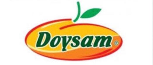 Doysam logo