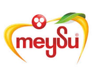 Meysu